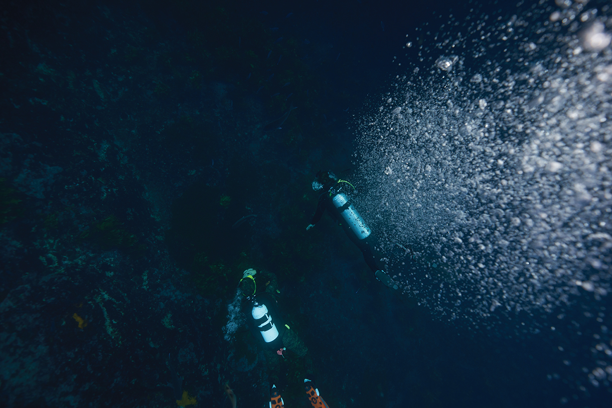 Two divers exploring underwater 